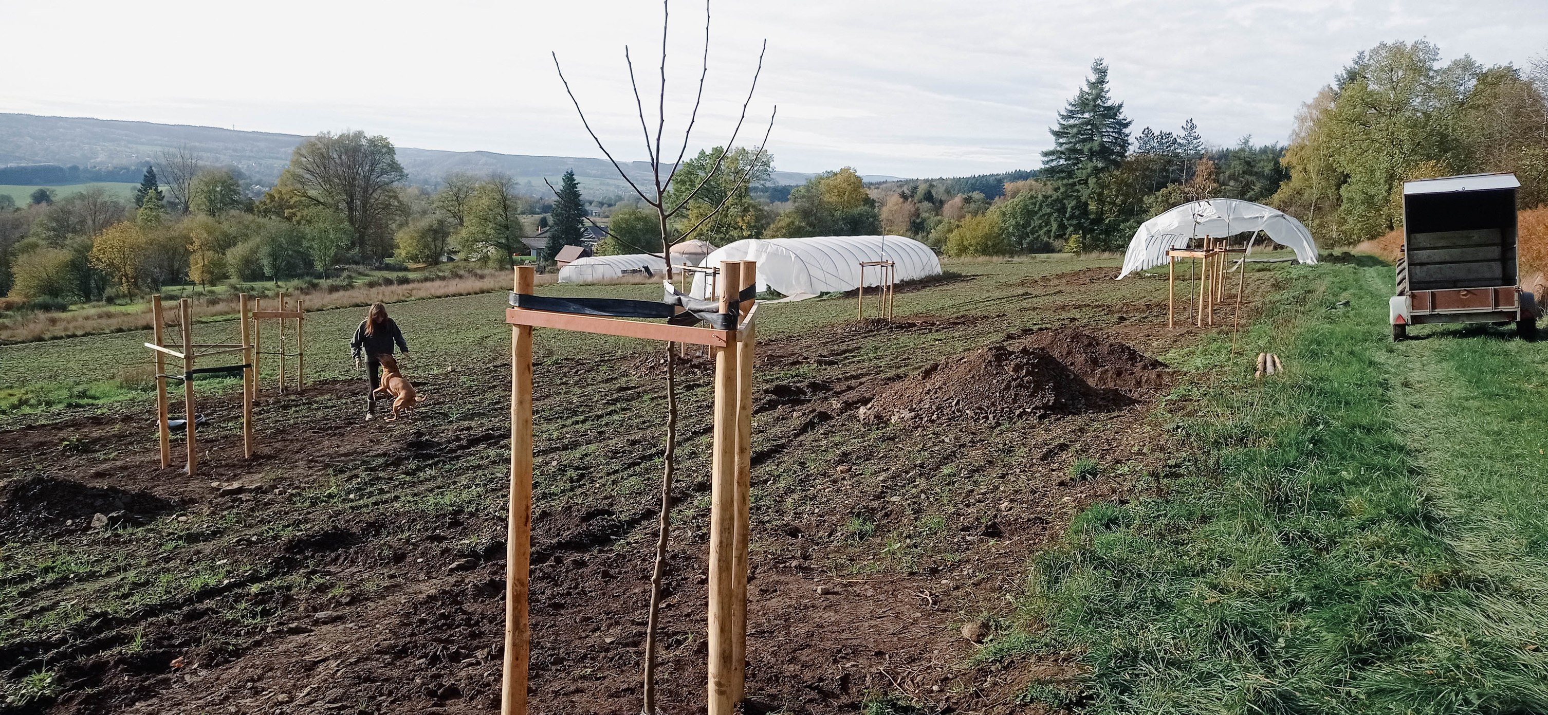 La ferme des trois pommiers | Petit-Thier