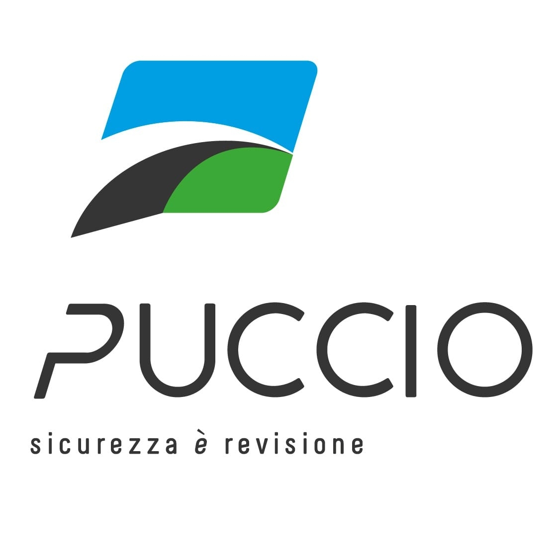 Puccio revisioni e... - Puccio revisioni e collaudi