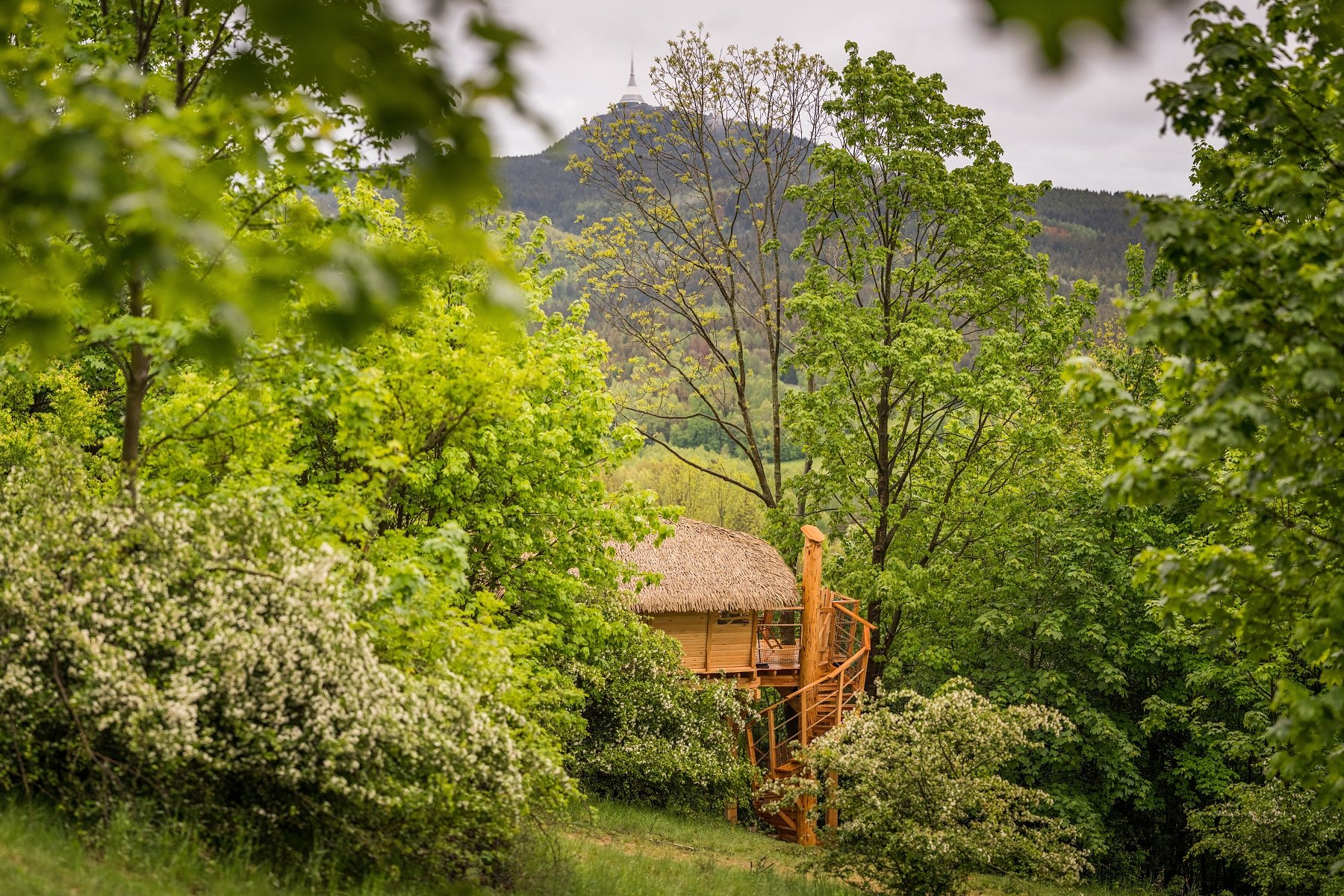 Treehouse Ještěd - Super last minute v Amálce! 🥳 Na dva dny! Počasí jak ...