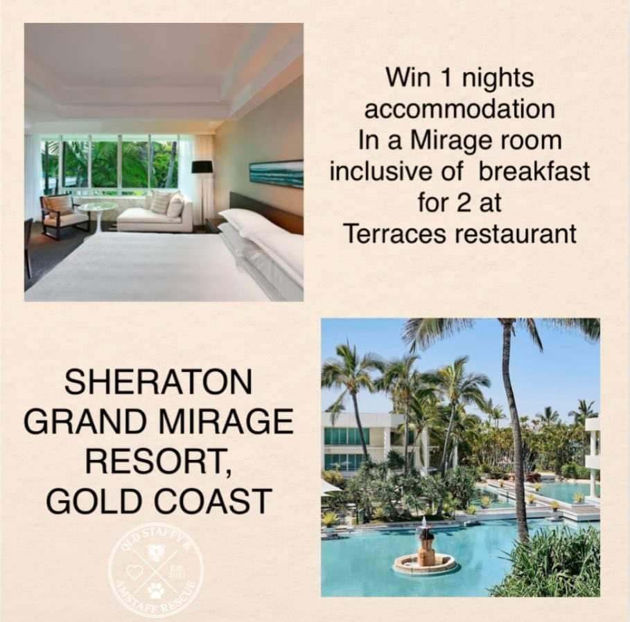Qld Staffy & Amstaff Rescue - 📣 Raffle tickets on sale now ️ 🏖Mirage GC ...