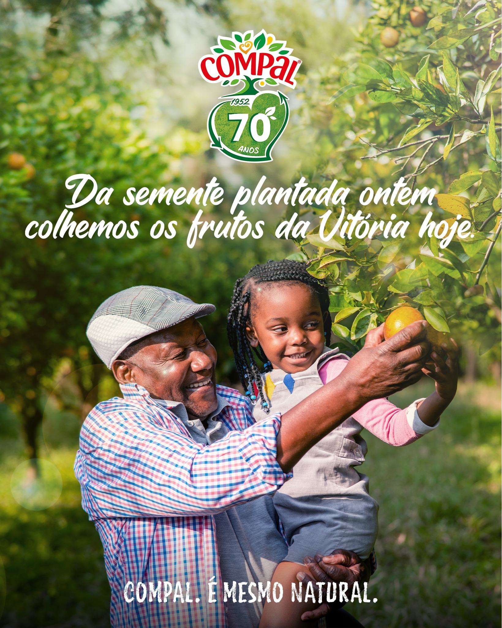Compal Moçambique - Quantos anos demora uma árvore a dar frutos? As ...