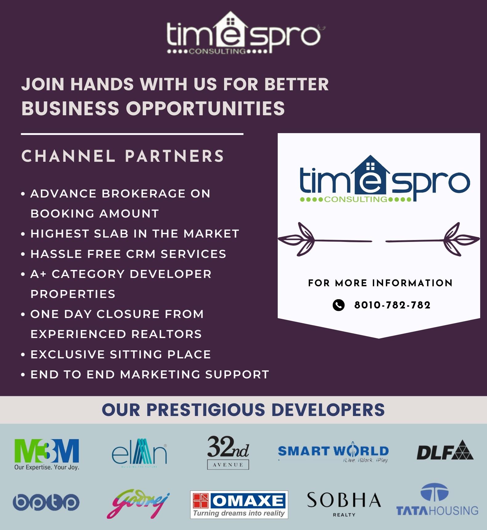 Timespro Consulting | Gurugram