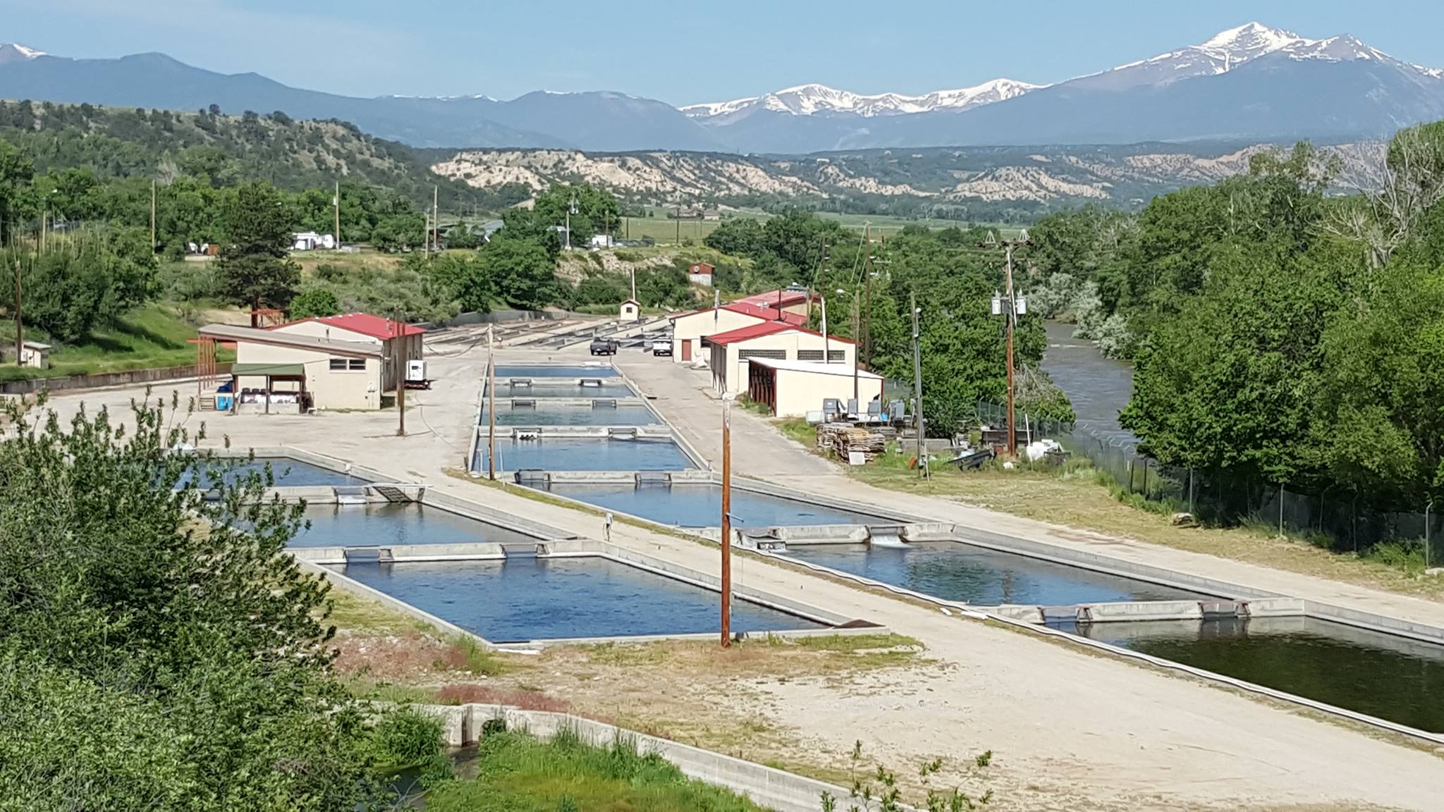 Mt. Shavano Hatchery photo 1