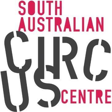 TOP 6 REASONS TO TRY CIRCUS (as an adult) Yep, circus is for adults to ...