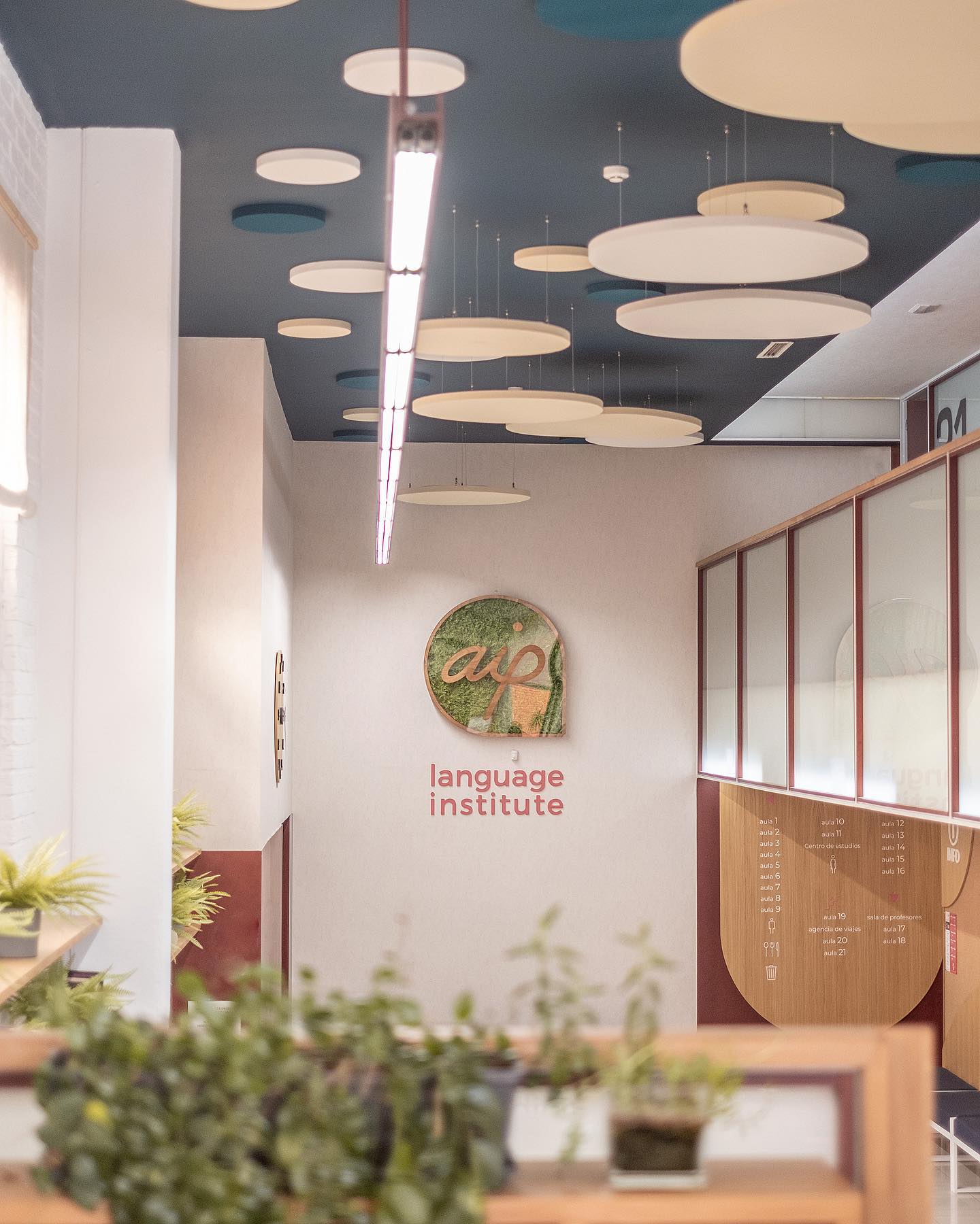 Coper Studio - Proyecto AIP Language Institute - 📸 @coperstudio ...