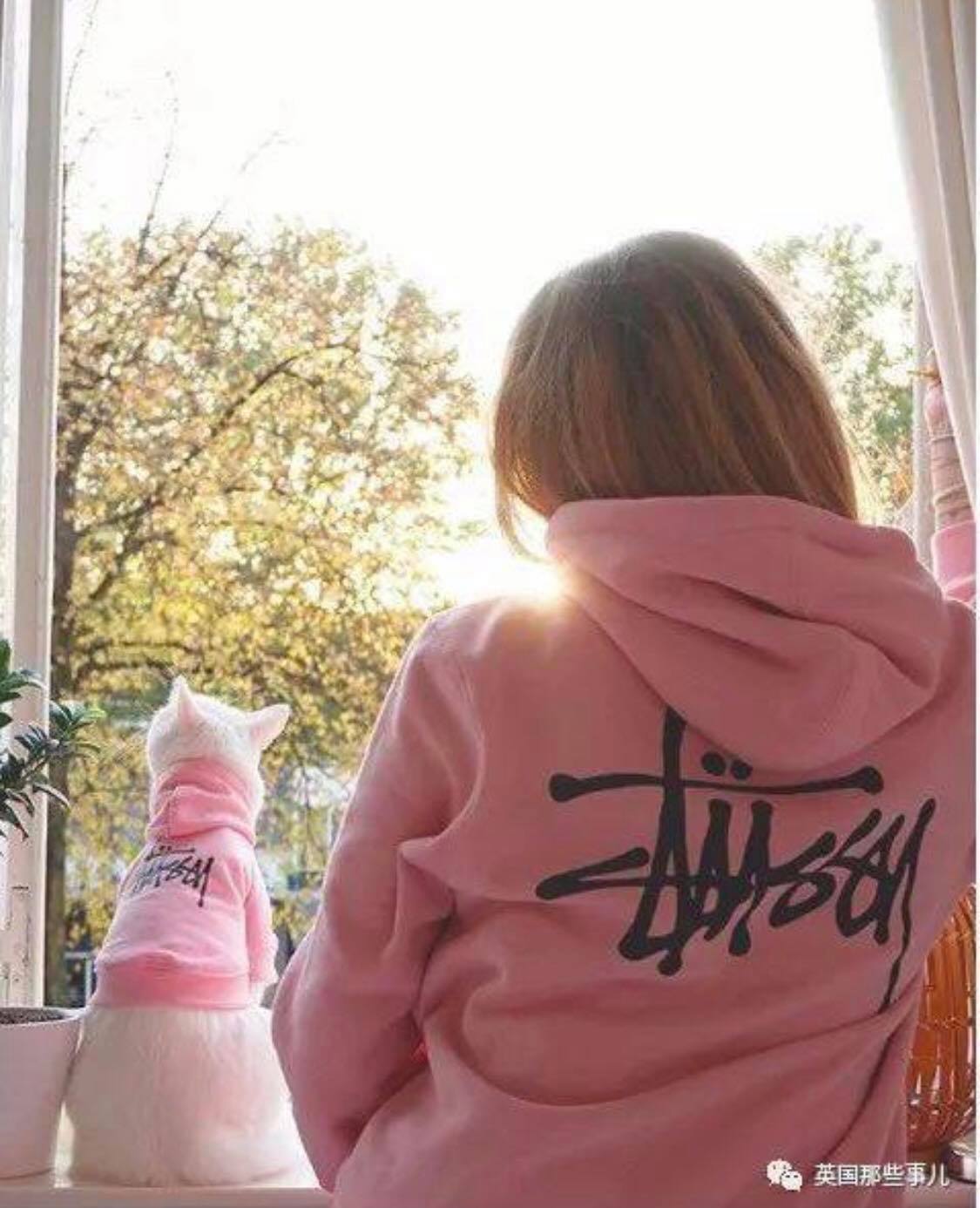 王歆妮