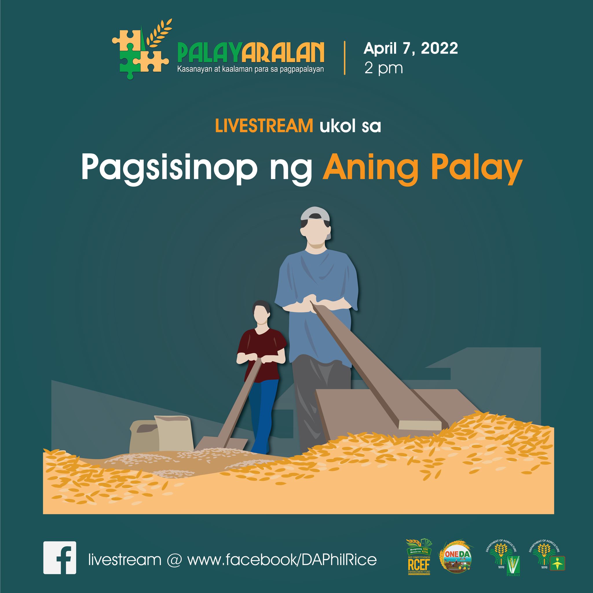DA-PhilRice - WAG AKSAYAHIN ang bawat butil ng palay na...