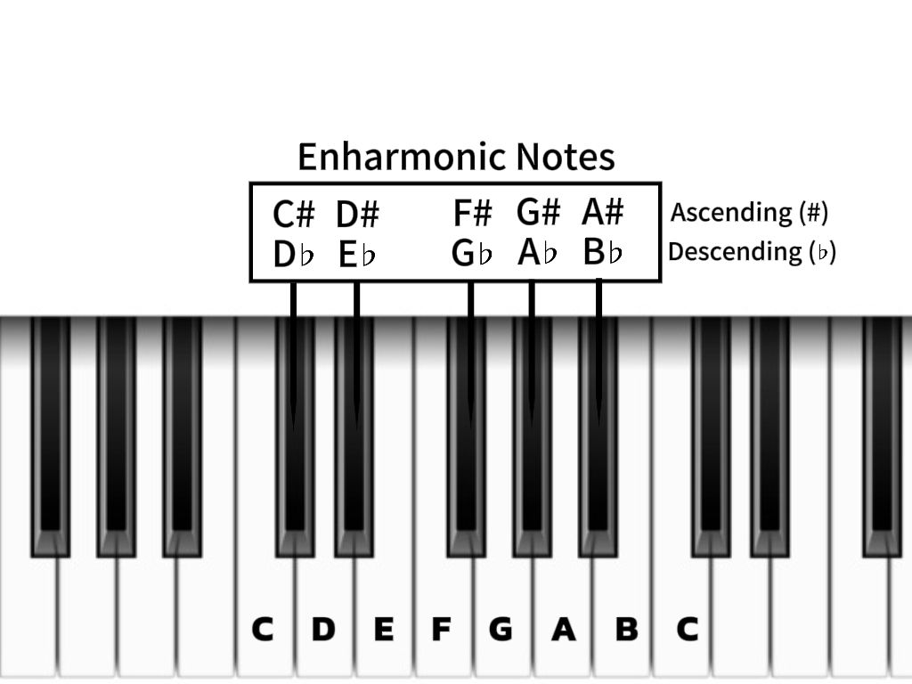 This image shows a section of a piano keyboard, highlighting the