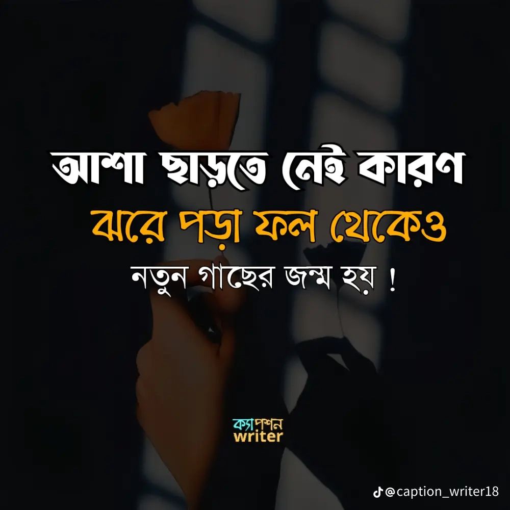MD Rohim Badsha