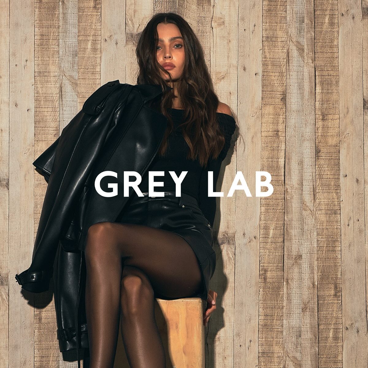 Grey Lab | Los Angeles CA
