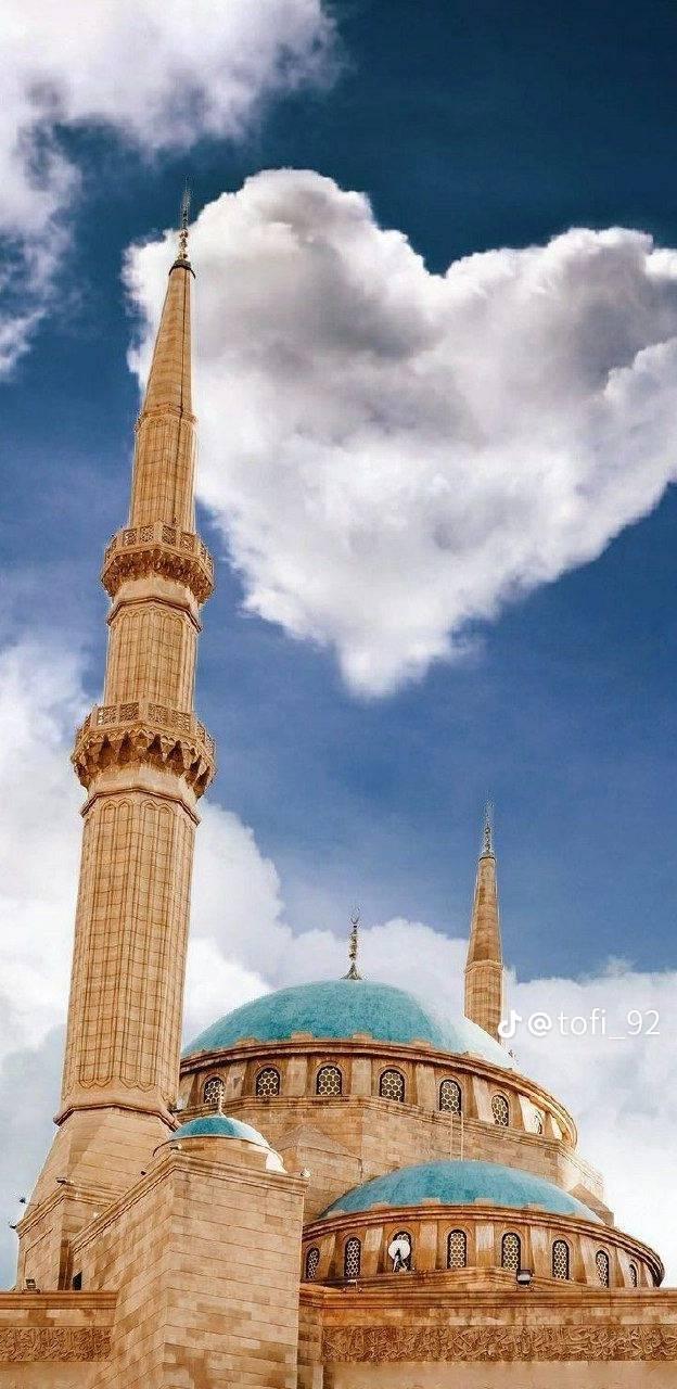 تلجMashwi