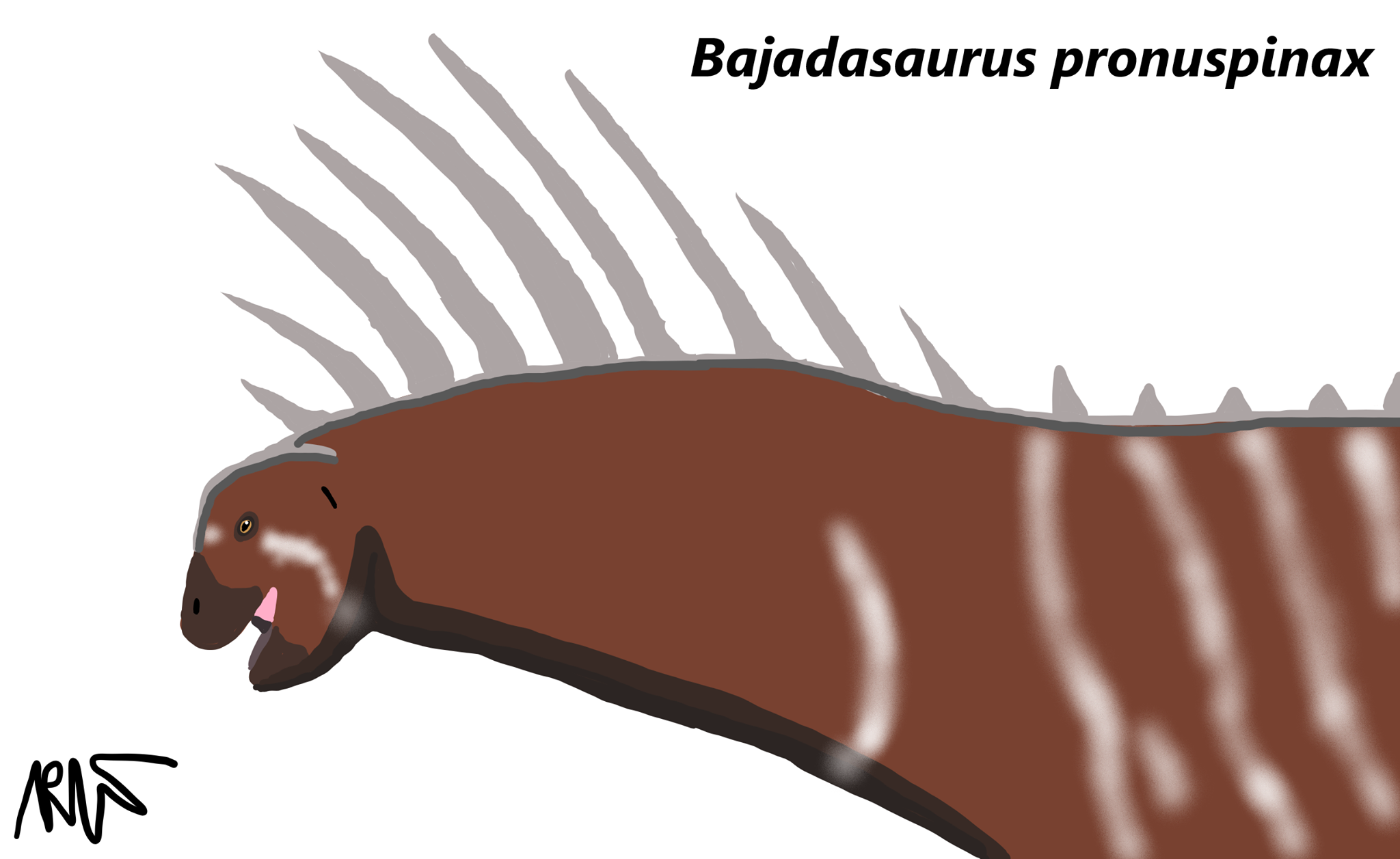 Armsaurus - บาจาดาซอรัส(Bajadasaurus) หนึ่งในพวกไดโนเสาร์ที่มีหนามบน ...
