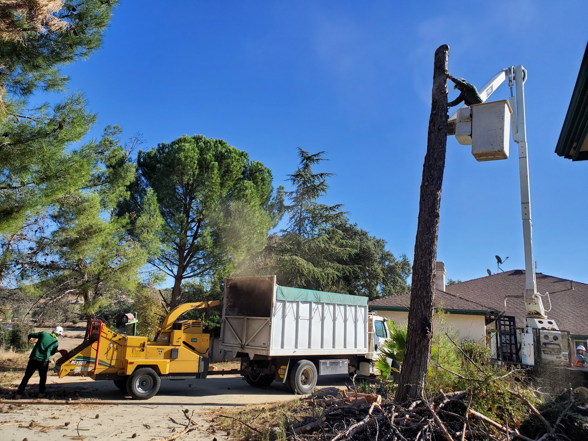 Pope Tree Service | Ramona CA