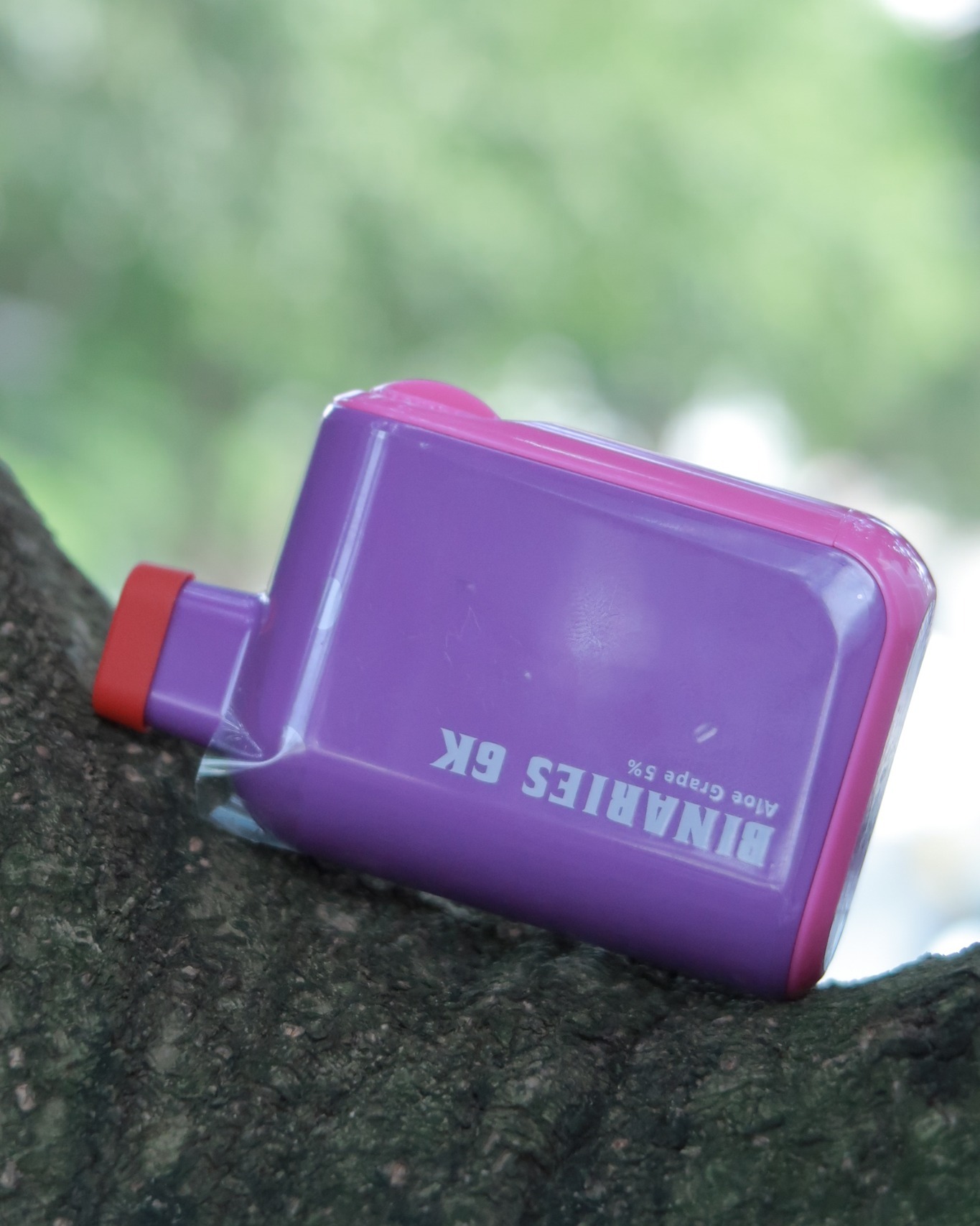 HorizonTech Binaries 6K Disposable Vape - Aloe Grape