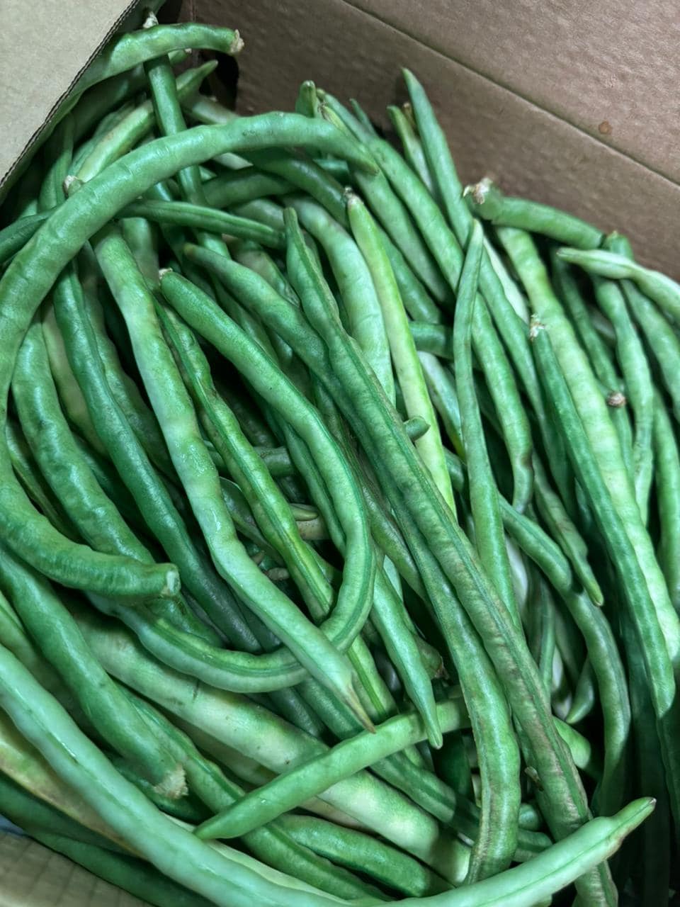 mzansi-fresh-market-mzansi-fresh-market-wholesaler