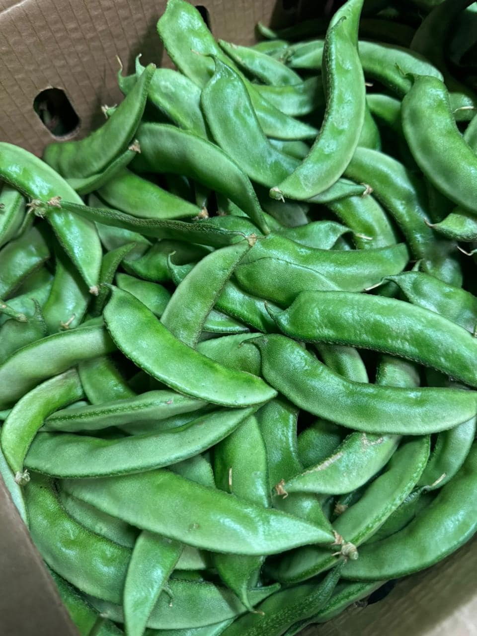 mzansi-fresh-market-mzansi-fresh-market-wholesaler