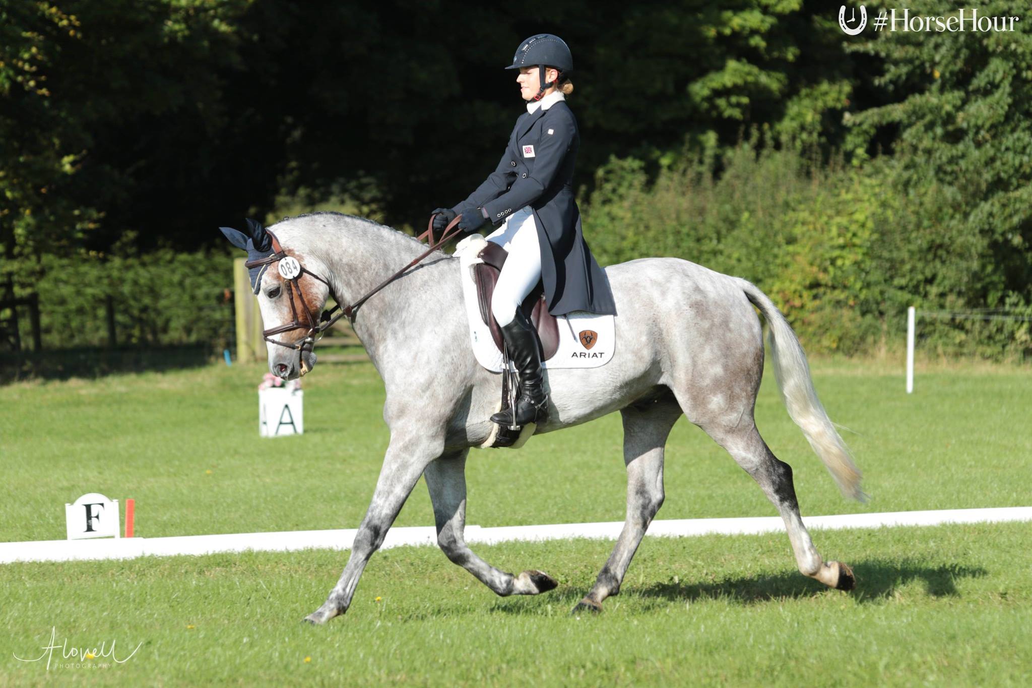 Chelsea Pearce Eventing