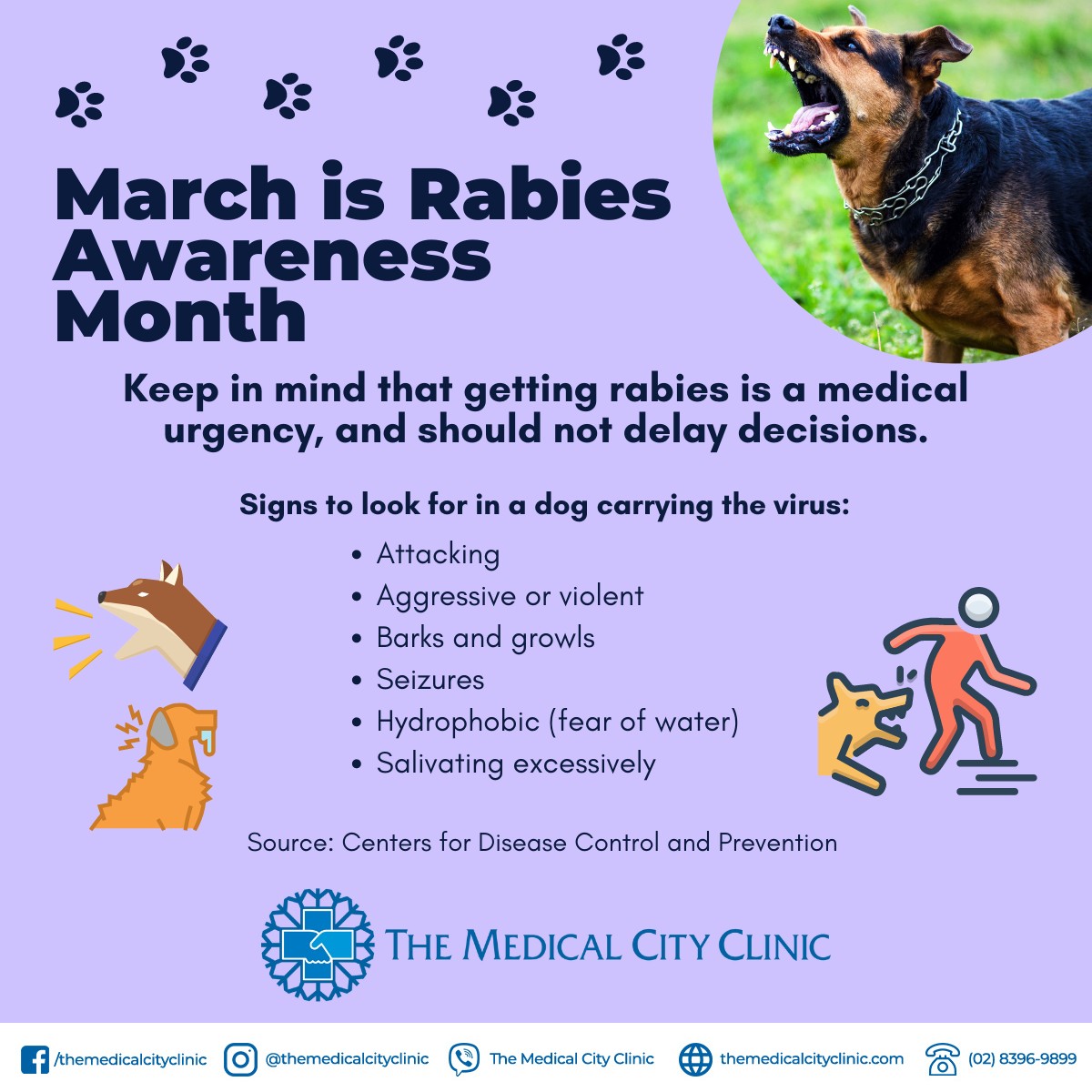 The Medical - Rabies is a virus-borne disease that affects the nervous ...