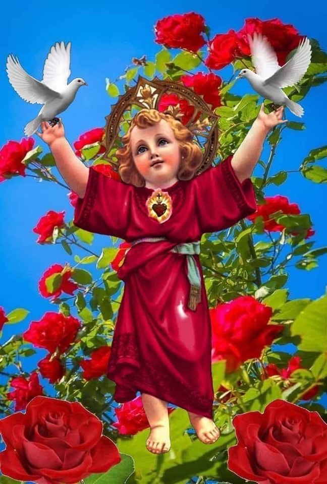 💞Mi Divino Niño Jesus, en Ti Confio💞 | Facebook