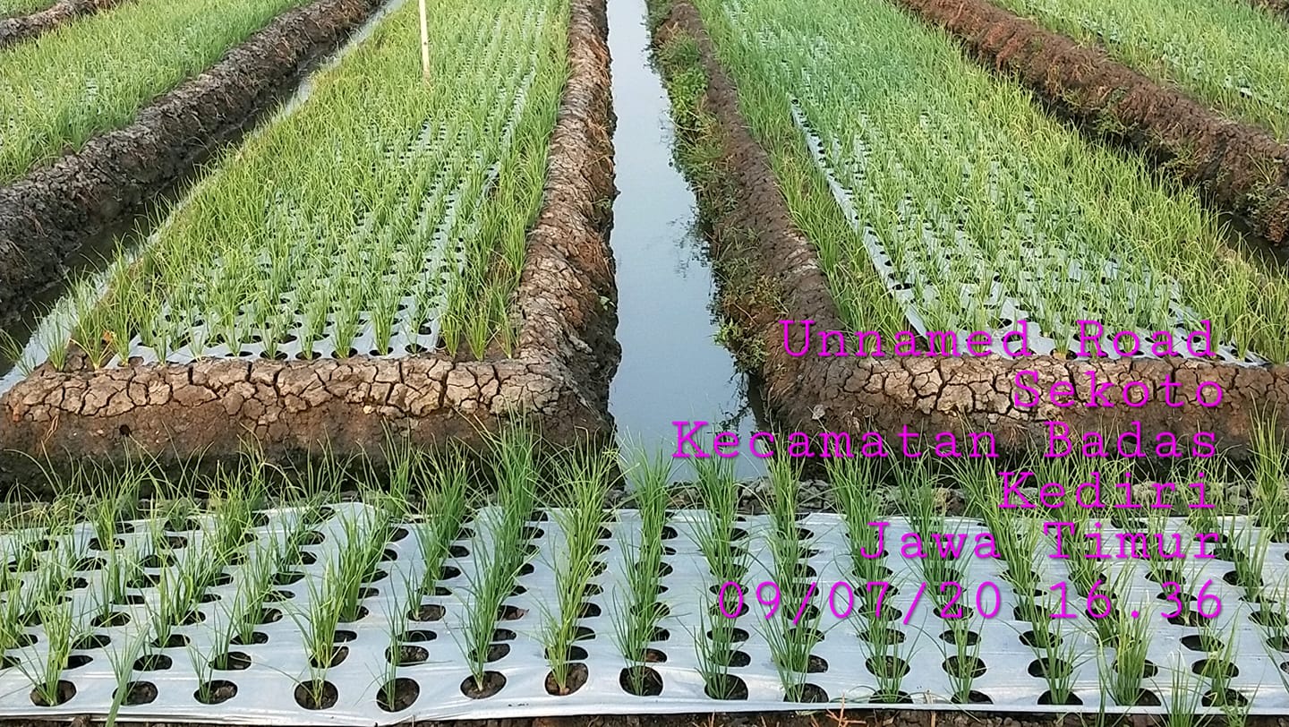 Sprinkler - Rp700.000 Berat 1kg Sprinkler putaran penuh 360° Ukuran 1 ...