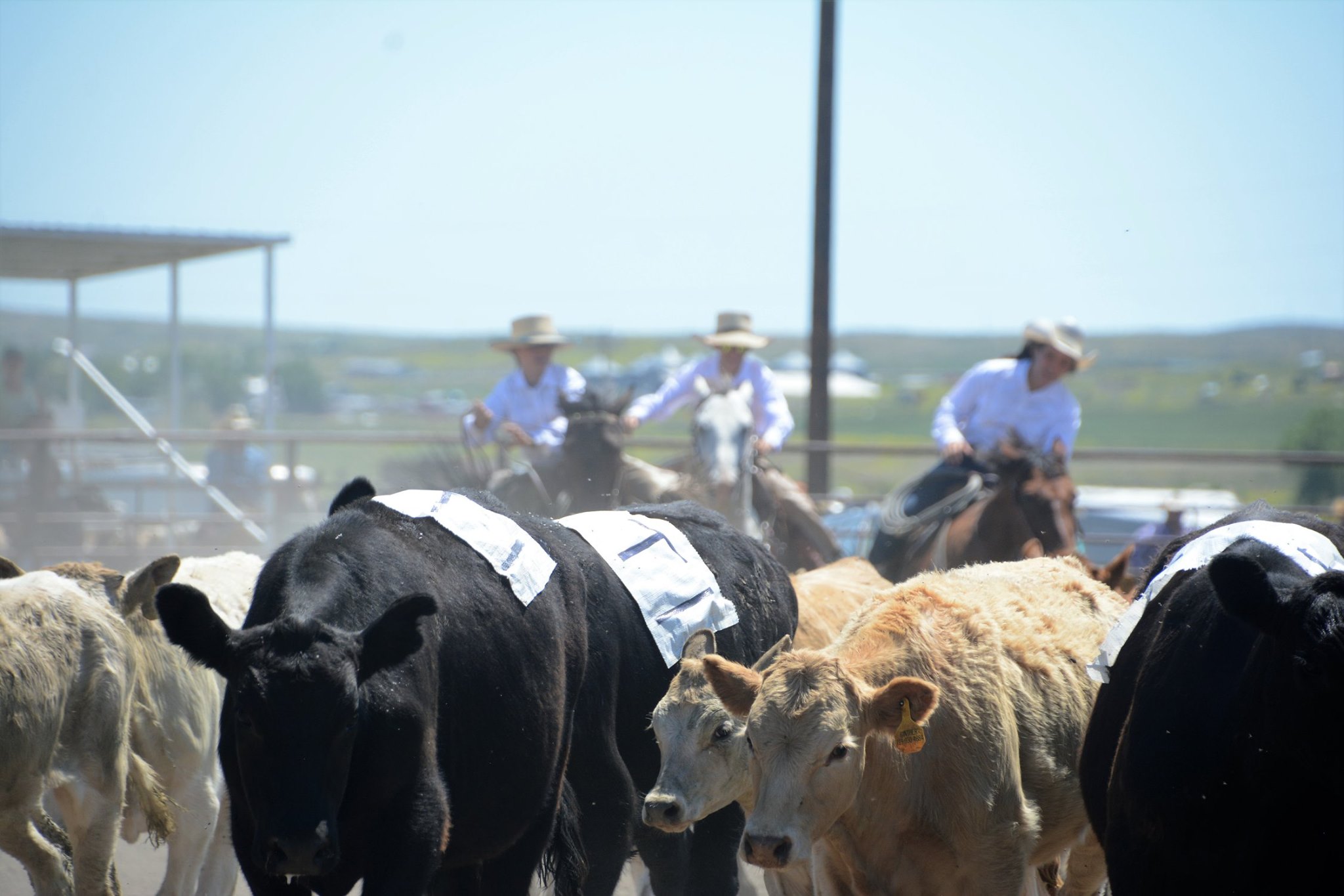 Jordan Ranch Rodeo | Jordan MT