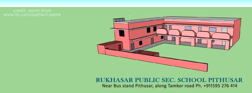 Rukhasar Public Sec. School Pithusar | Jhunjhunun