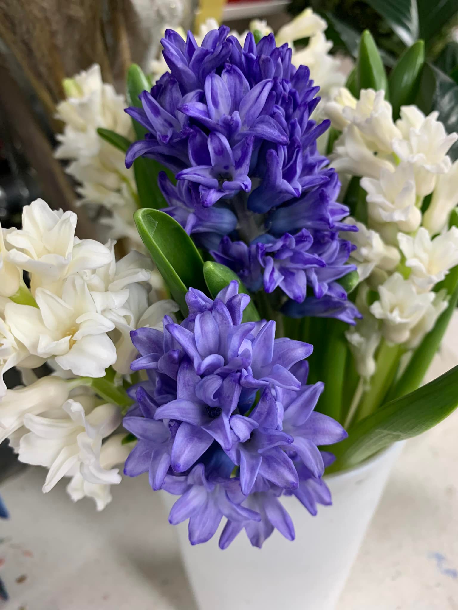 Happy Friday!! We hope... - Riff Flower Shop and Greenhouses | Facebook