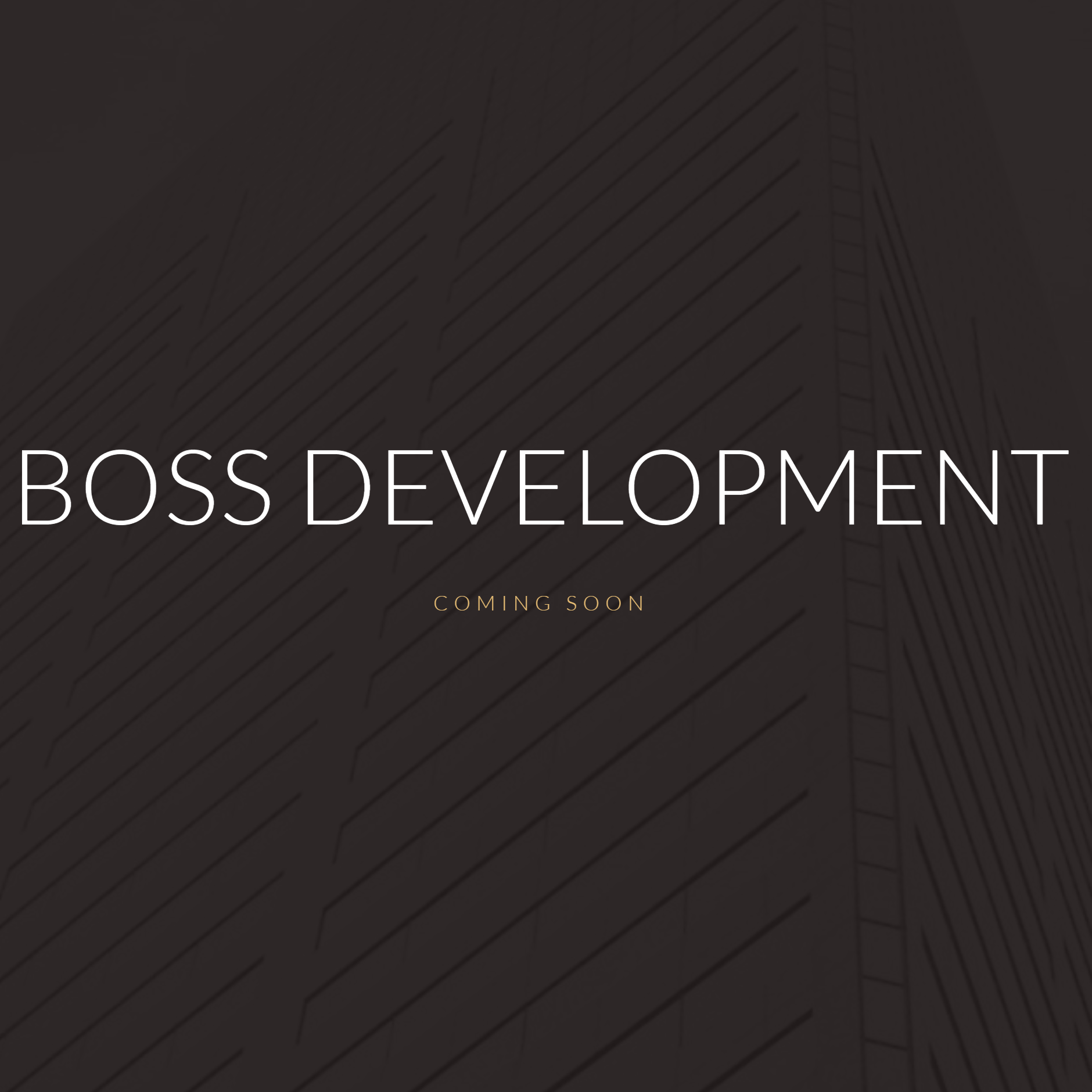 Boss Development