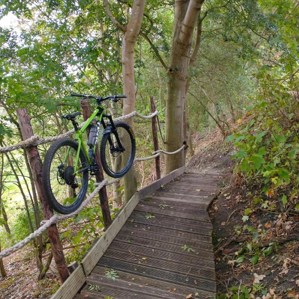 trekkingrad 29 MTB Hardtail Mountainbike Fahrrad Zoll Mountainbike MB.2930 Shimano 27 Gang Acera Herrenfahrrad Damenfahrrad 46 51 56 cm m L XL günstig kaufen Condition:Good Lebensmittel & Superfoods GROVE GEAR GR-HMQ-842-15-H1-56-35 RIGHT