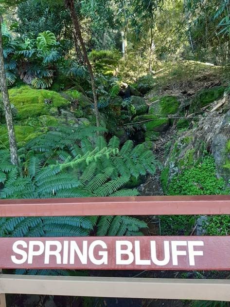 Spring Bluff Railway Station | Spring Bluff QLD