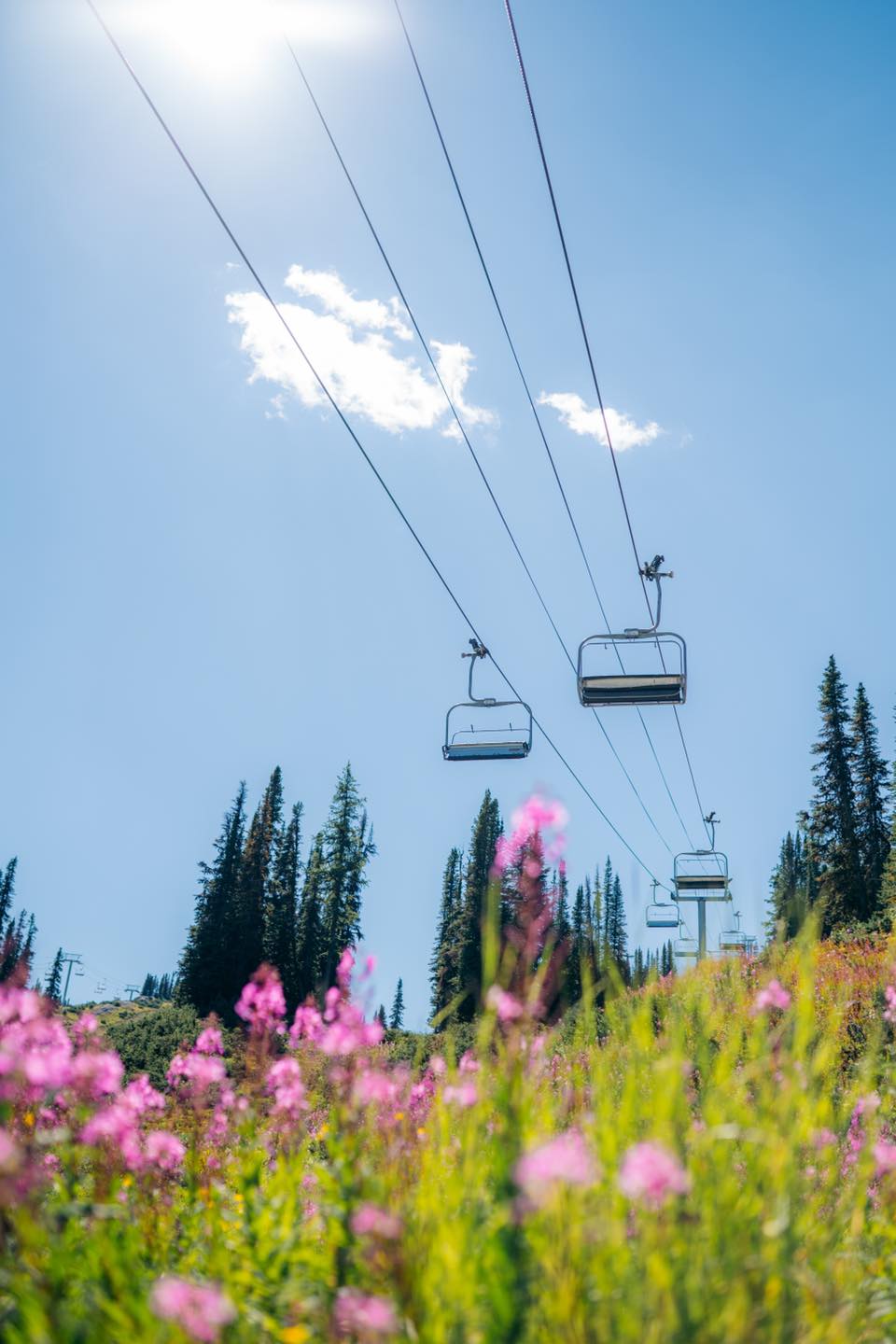 We love the mountains in the... - Banff Sunshine Village | Facebook