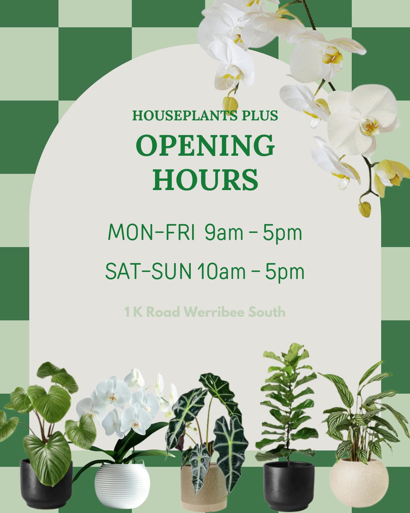 Houseplants - Exciting News - Updated Opening Hours We’re thrilled to ...