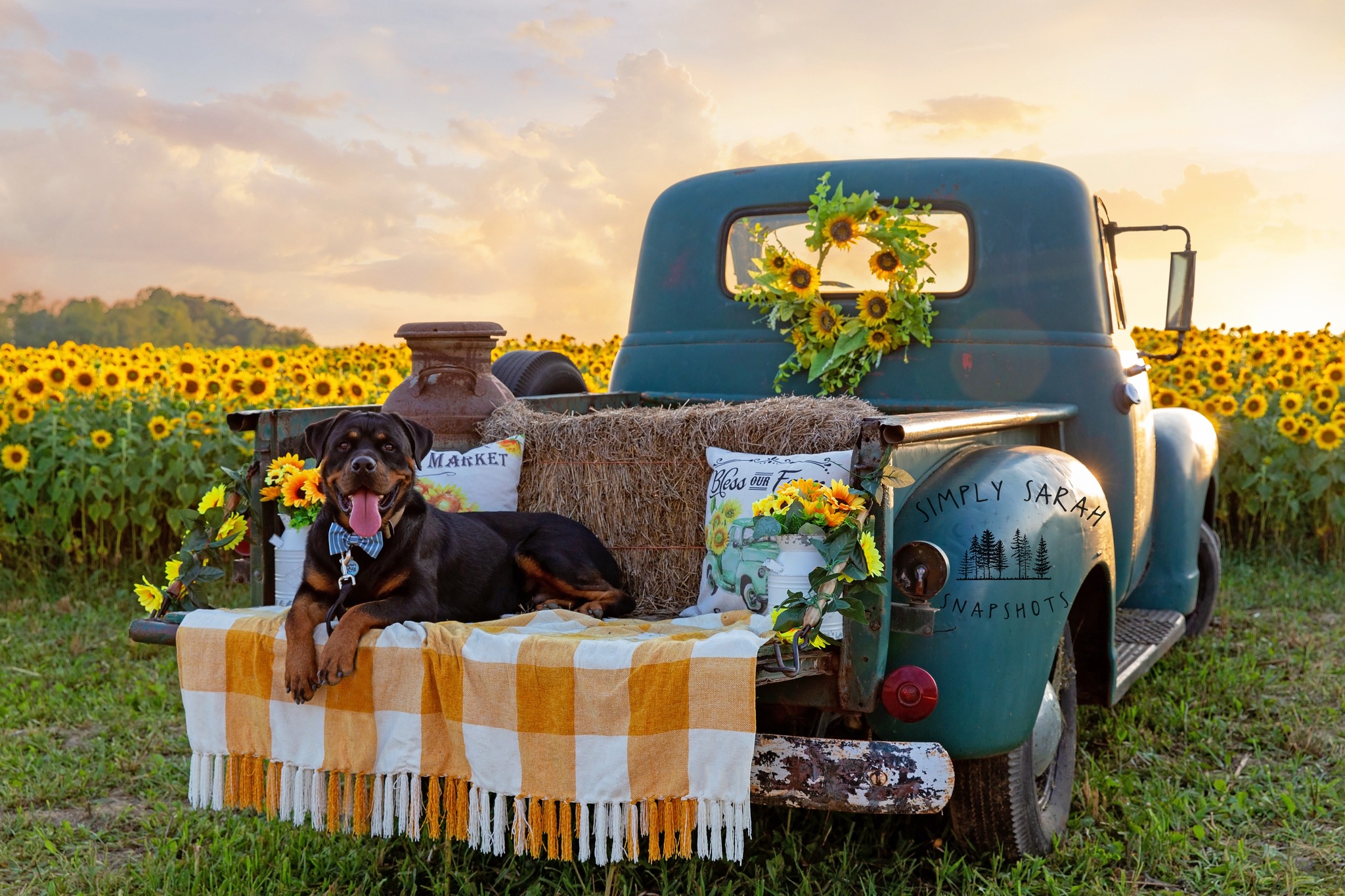 🚨📸 Here are the finalists for Photo... - Autumn Ridge Farm