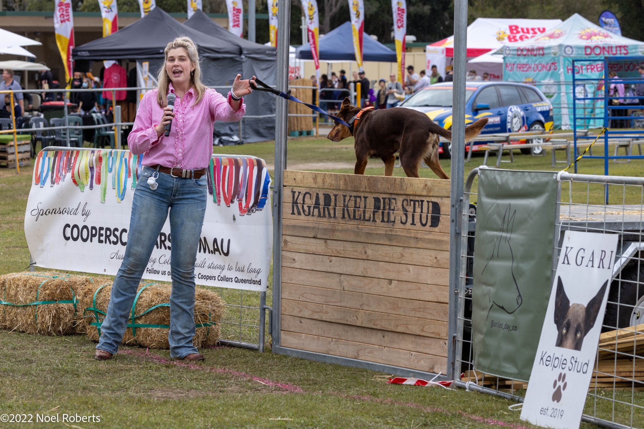 Pine Rivers Show added a new photo. - Pine Rivers Show