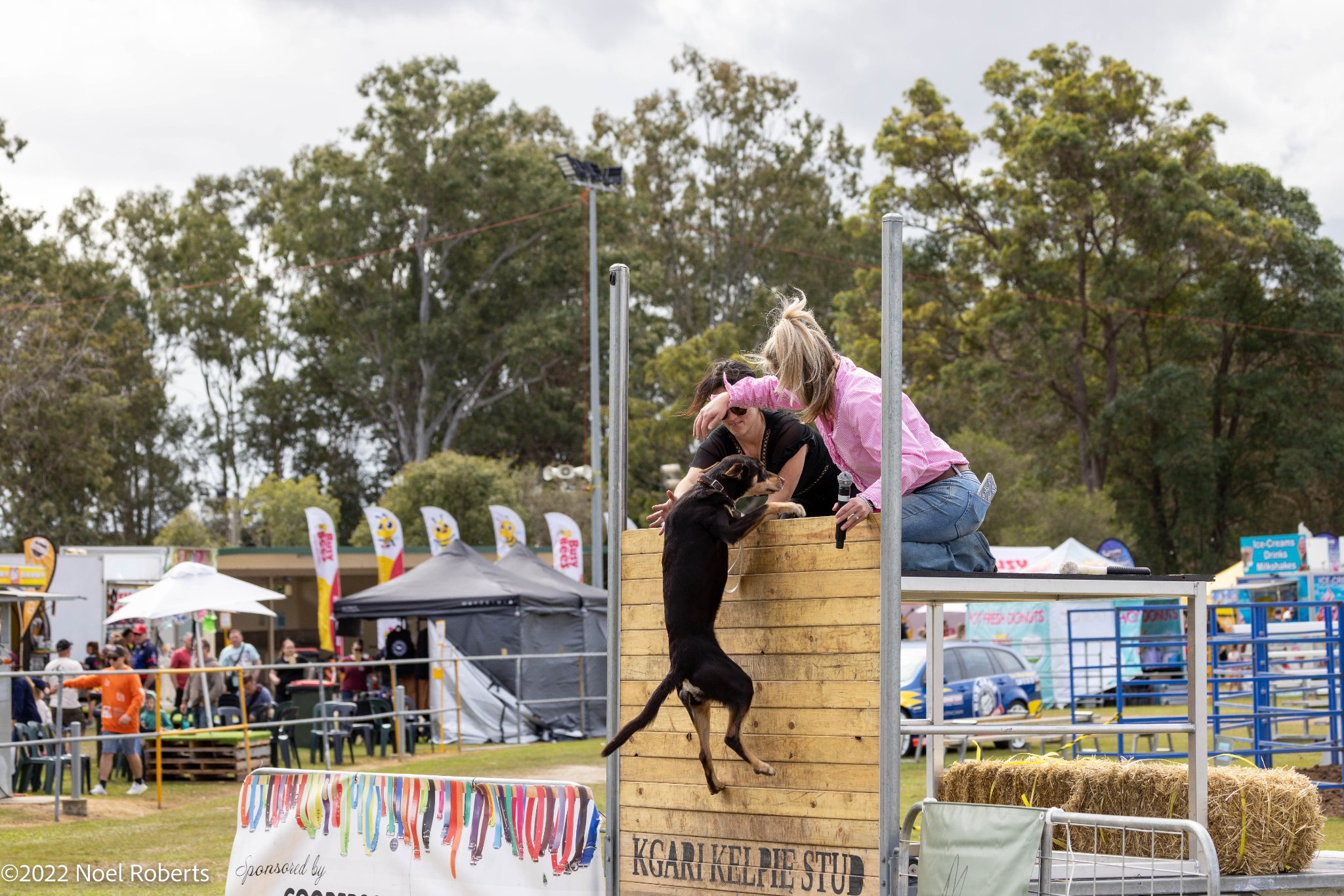 Pine Rivers Show - Home