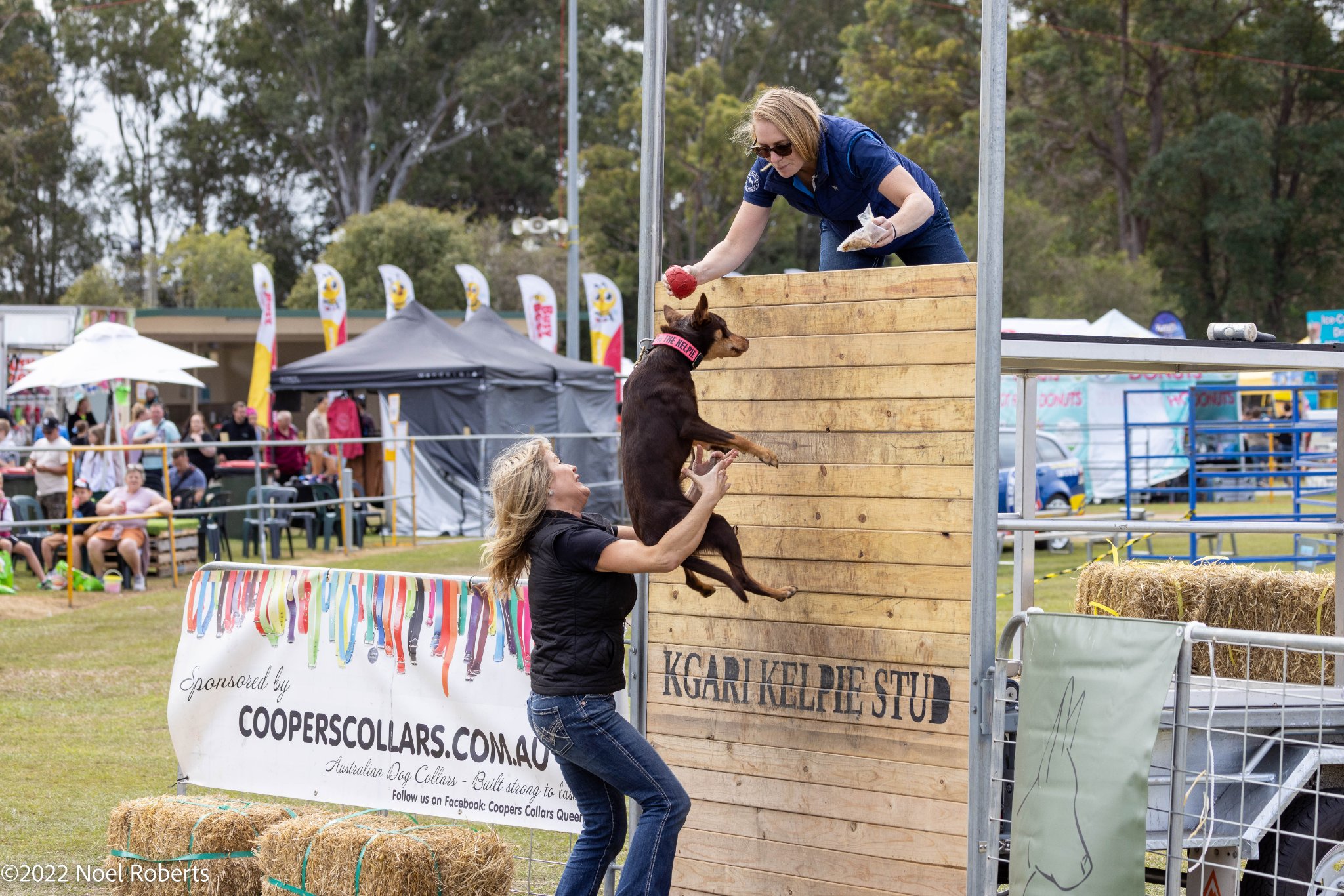 Pine Rivers Show - Home