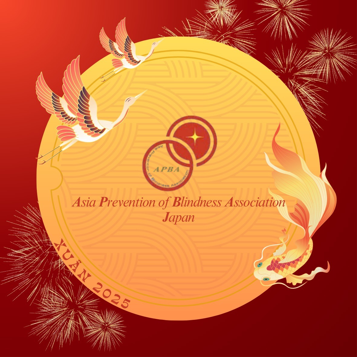 APBA - Asia Prevention of Blindness Association | Hanoi