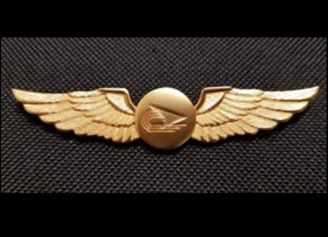 SYFC will be holding our... - Singapore Youth Flying Club | Facebook