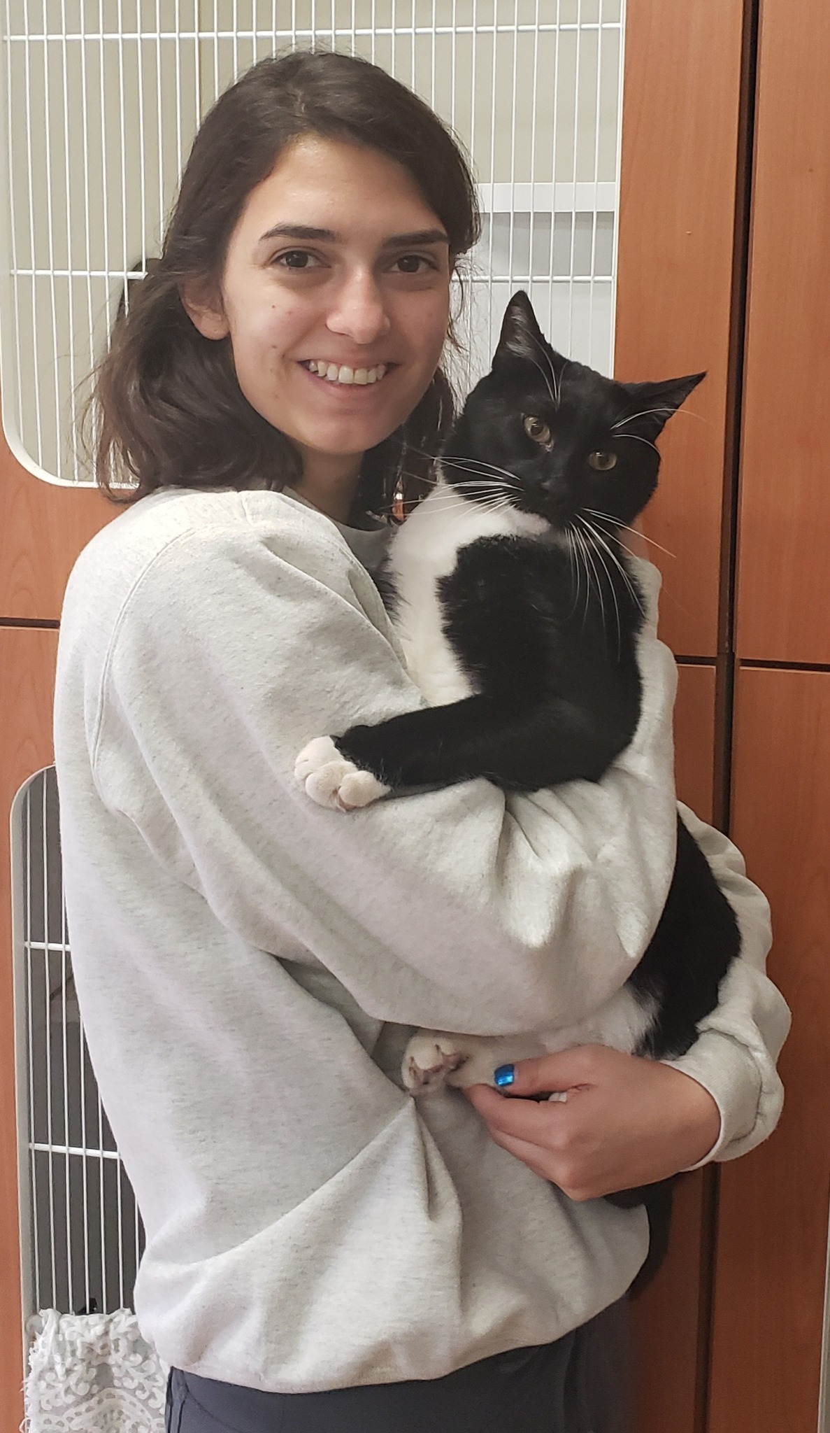June is national hug your cat month.... - Metro Cat Clinic