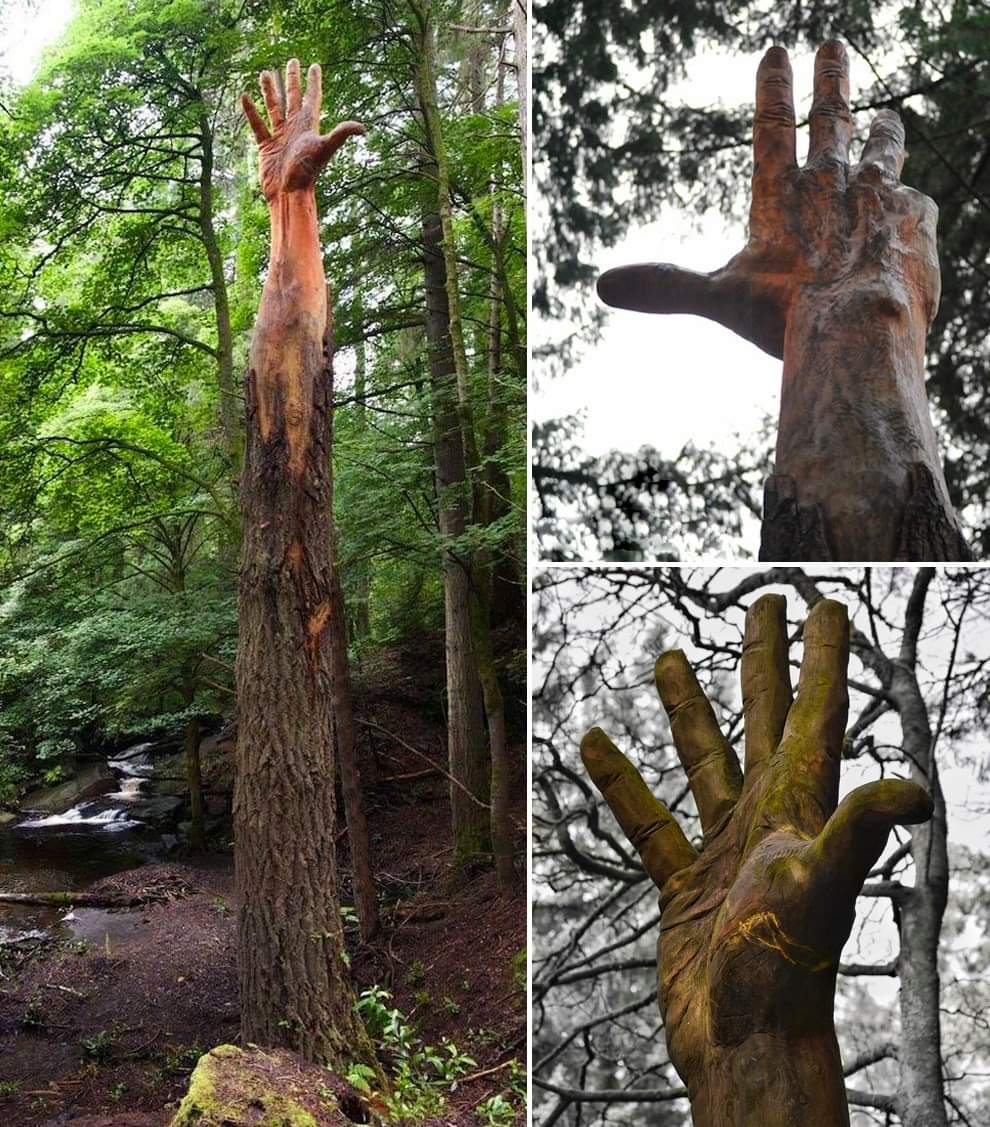 Creapills - L'artiste Simon James O'Rourke a transformé un... | Facebook