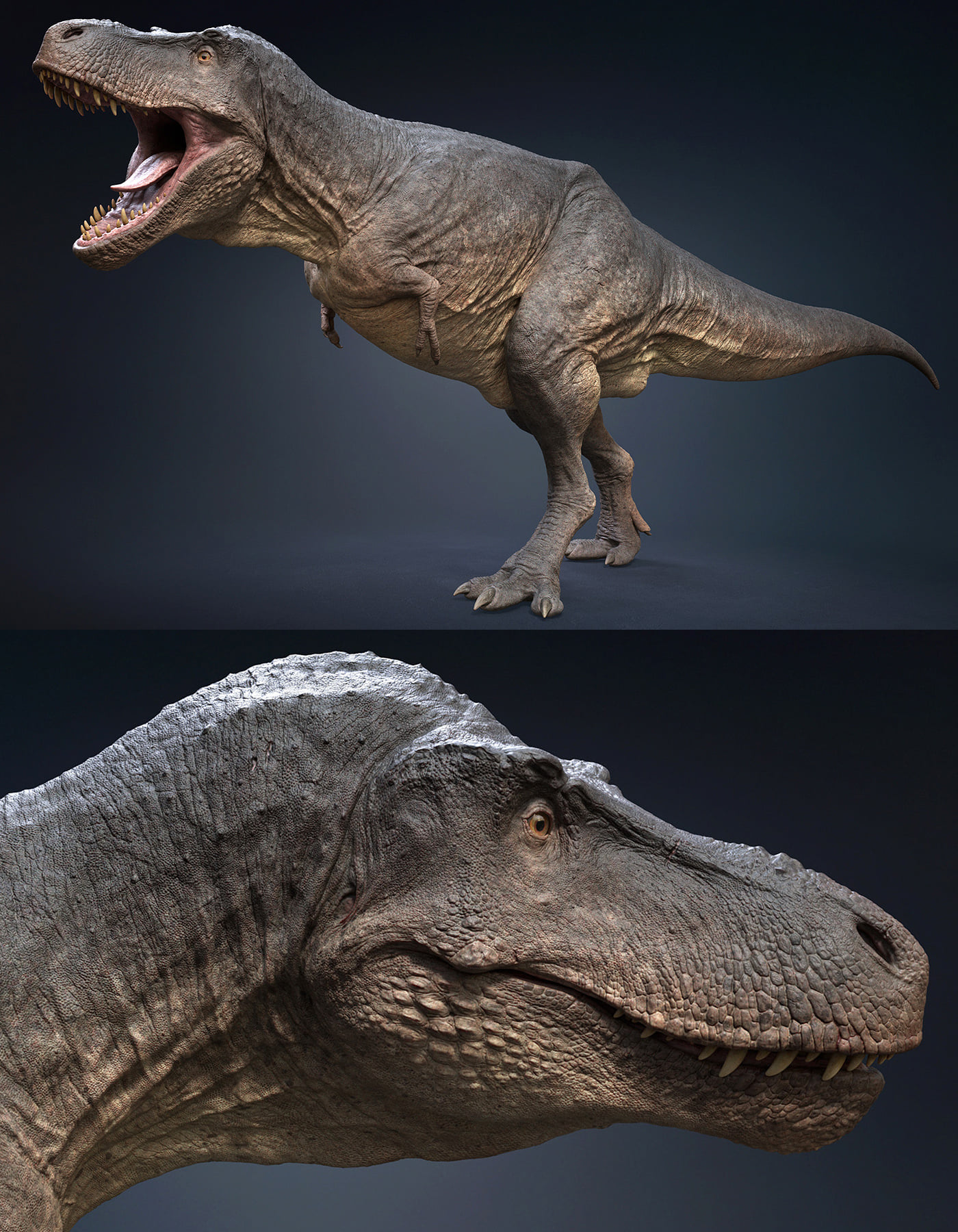 Hyper-realistic T-Rex character rigged... - HKV Studios Ltd. | Facebook