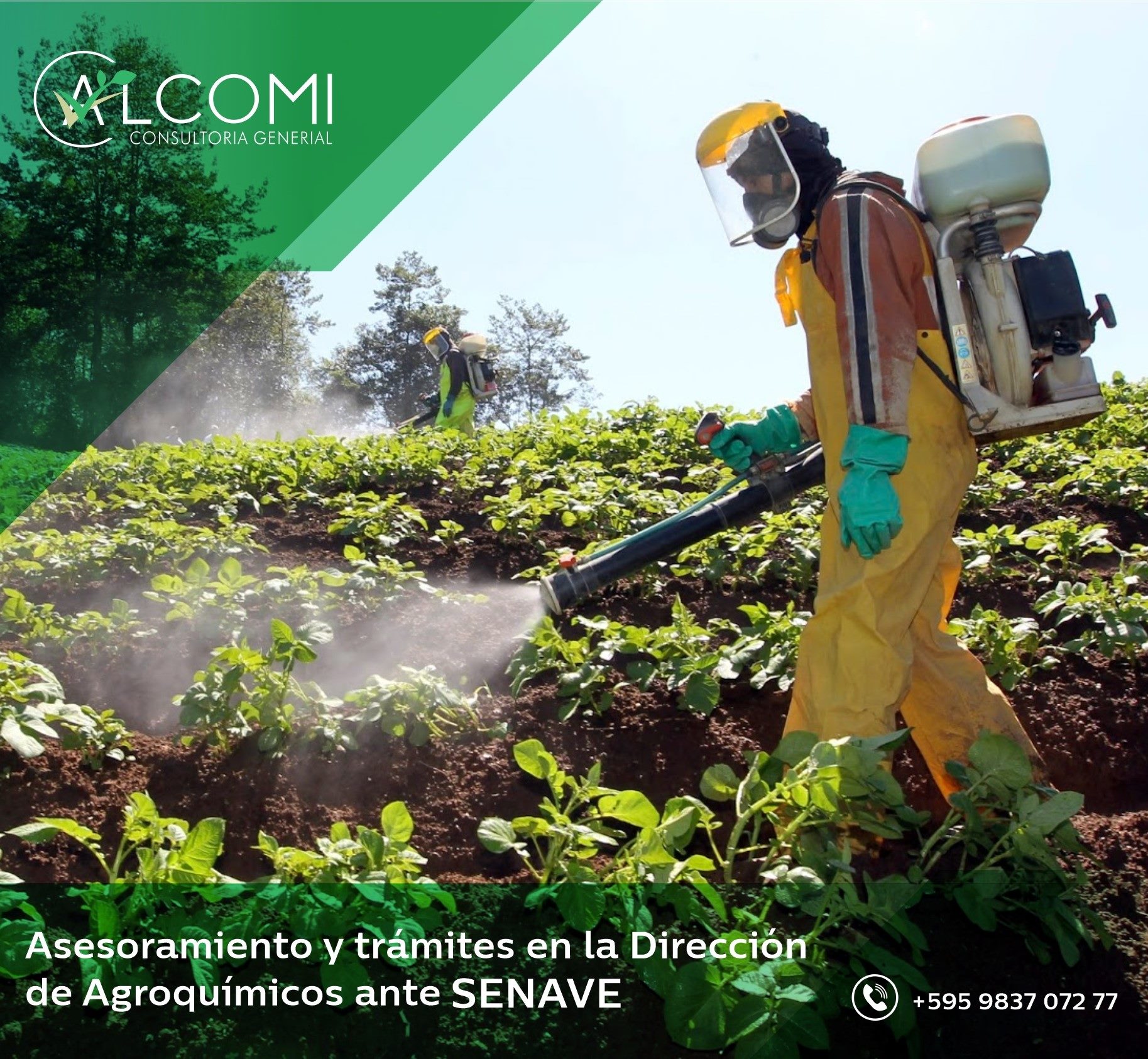 Alcomi - Consultoría General - Home