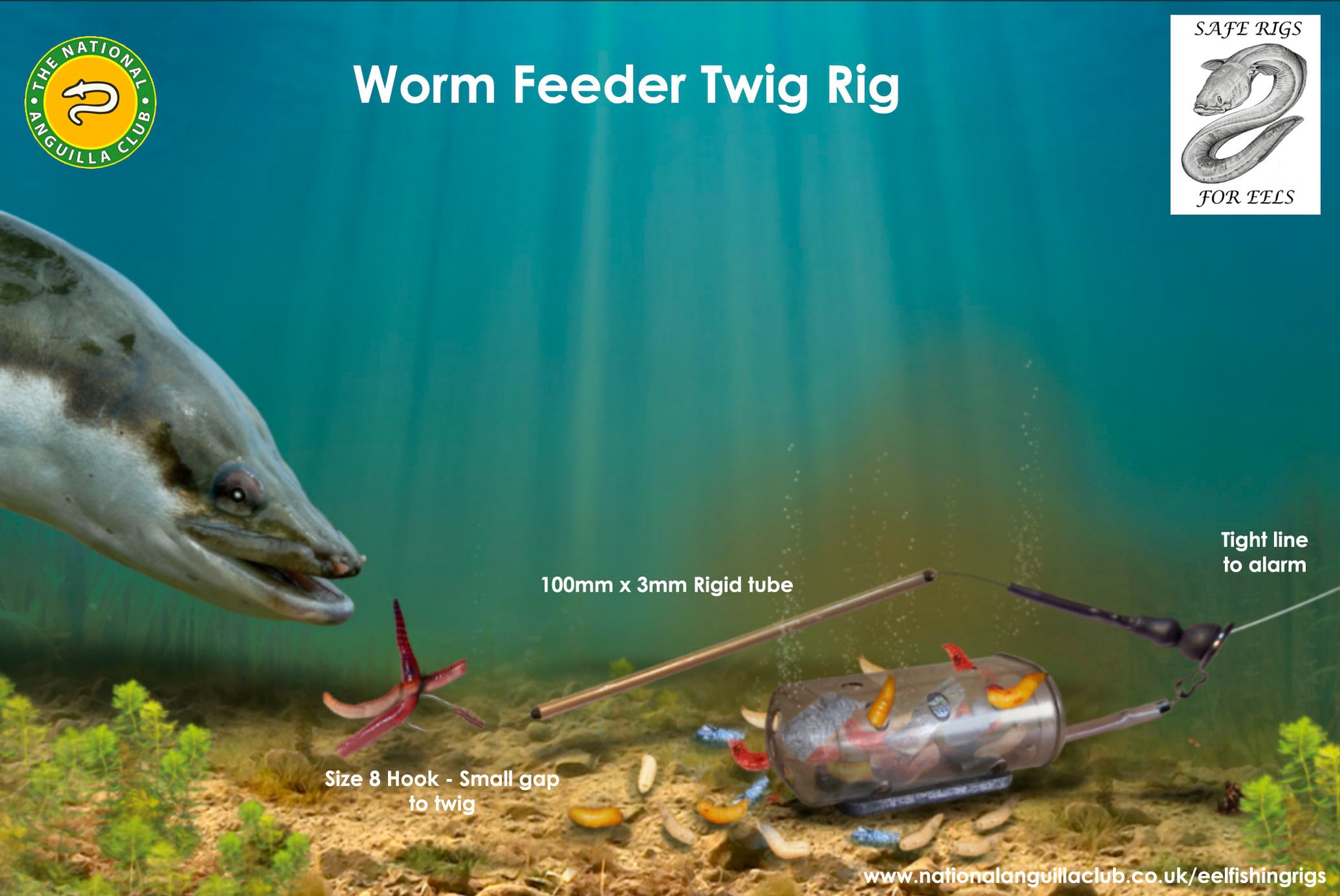 best size fishing hooks for eels MARUTO Eel Hooks, Eel Hooks, Worm Hooks, Eel Fishing, Red Hooks, Ready Tied for Eels, Size: 4 Sports & Outdoors Lingcod and Rockfish anglers across the Pacific Coastal region Buy Maxbell Maxbell 2Pcs Monopterus