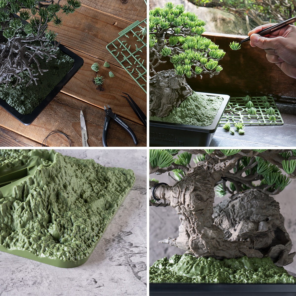 𝐍𝐄𝐖 𝐀𝐑𝐑𝐈𝐕𝐀𝐋𝐒】 🌳SRL X BANDAI SPIRITS . BONSAI MODEL