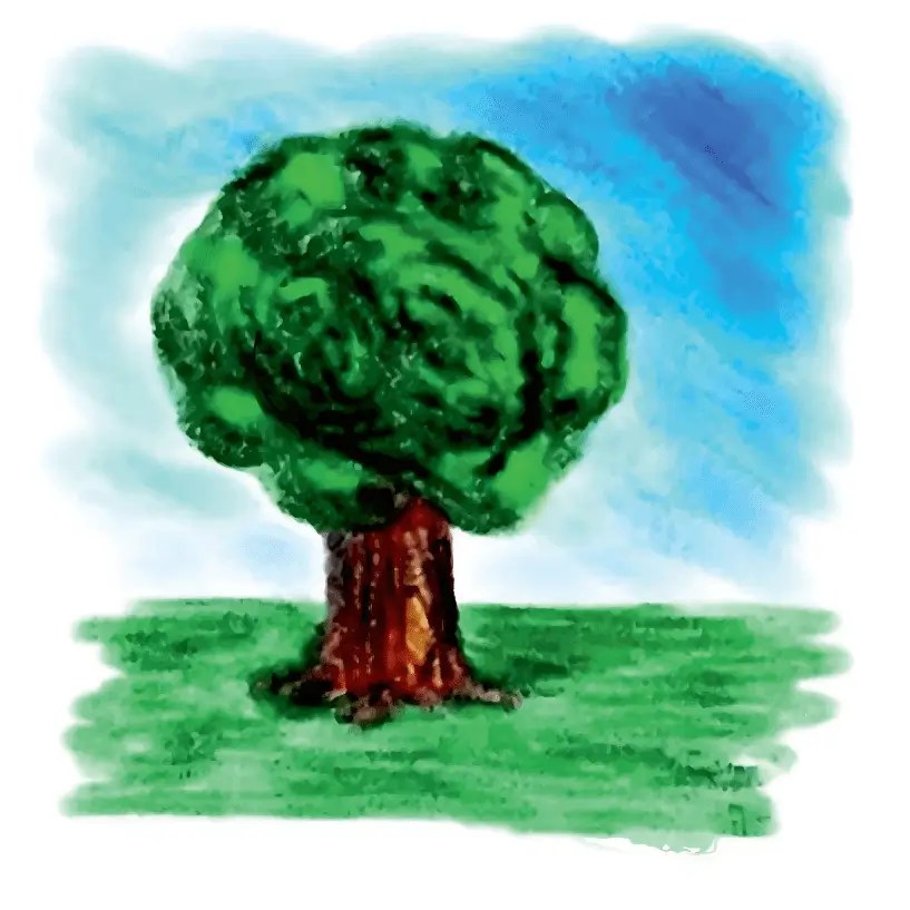 Eco-Friendly Products | 🌱 Environmental Impact Assessment (EIA) for ...