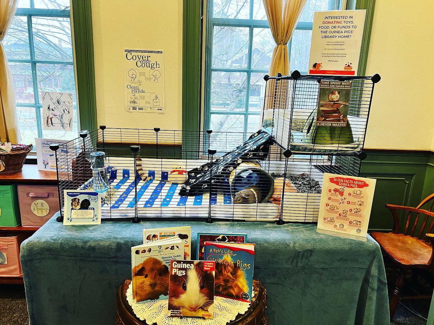 The Goodall Guinea... - Louis B. Goodall Memorial Library