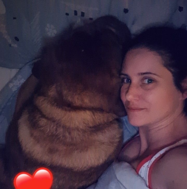 British - The Boxer, the Dog, and the Grave That Still Breaks Hearts in ...