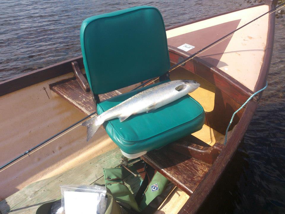Lough Corrib Fly Fishing - Nigh on perfect conditions today for ...