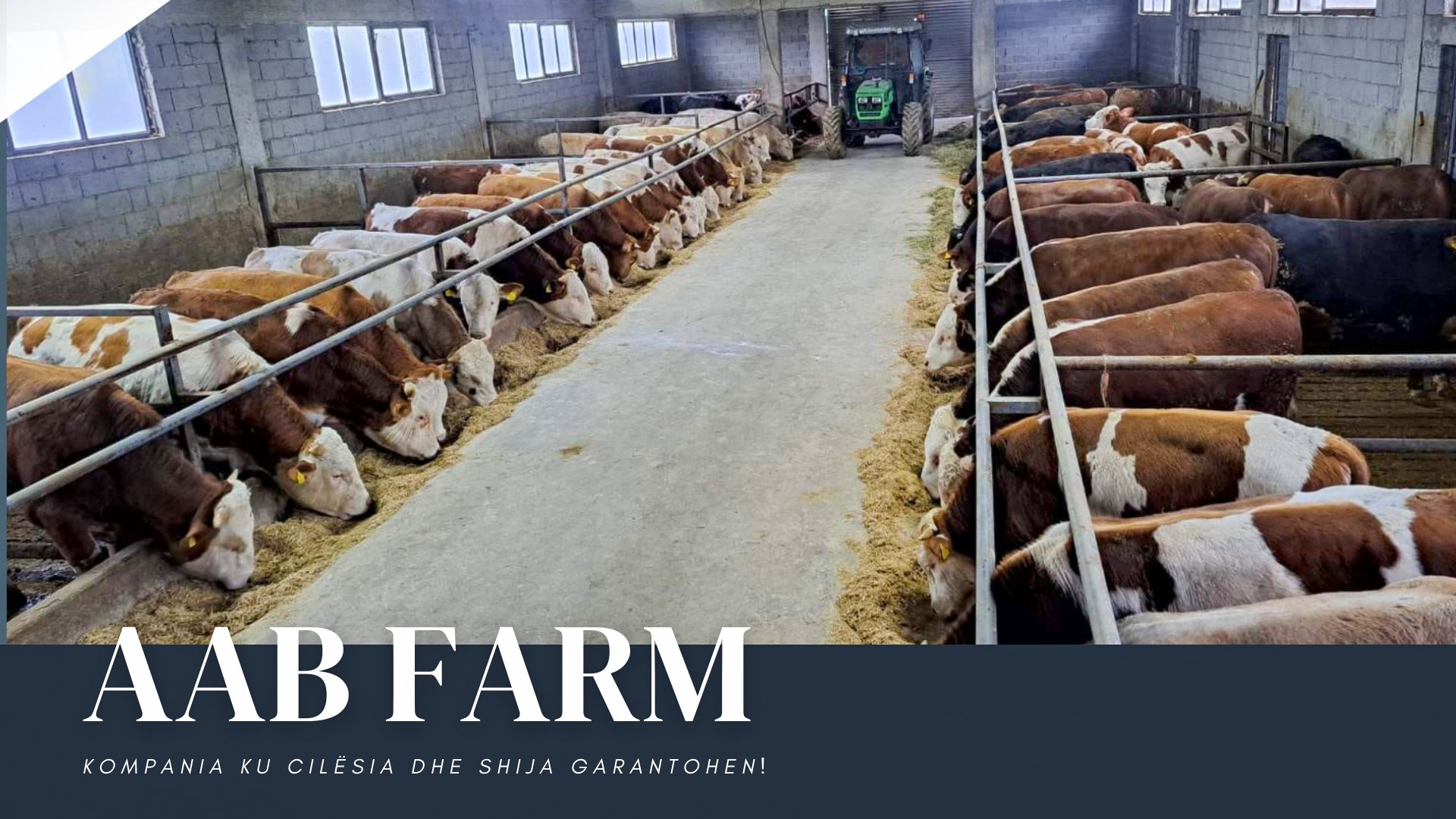 AAB-Farm | Suharekë
