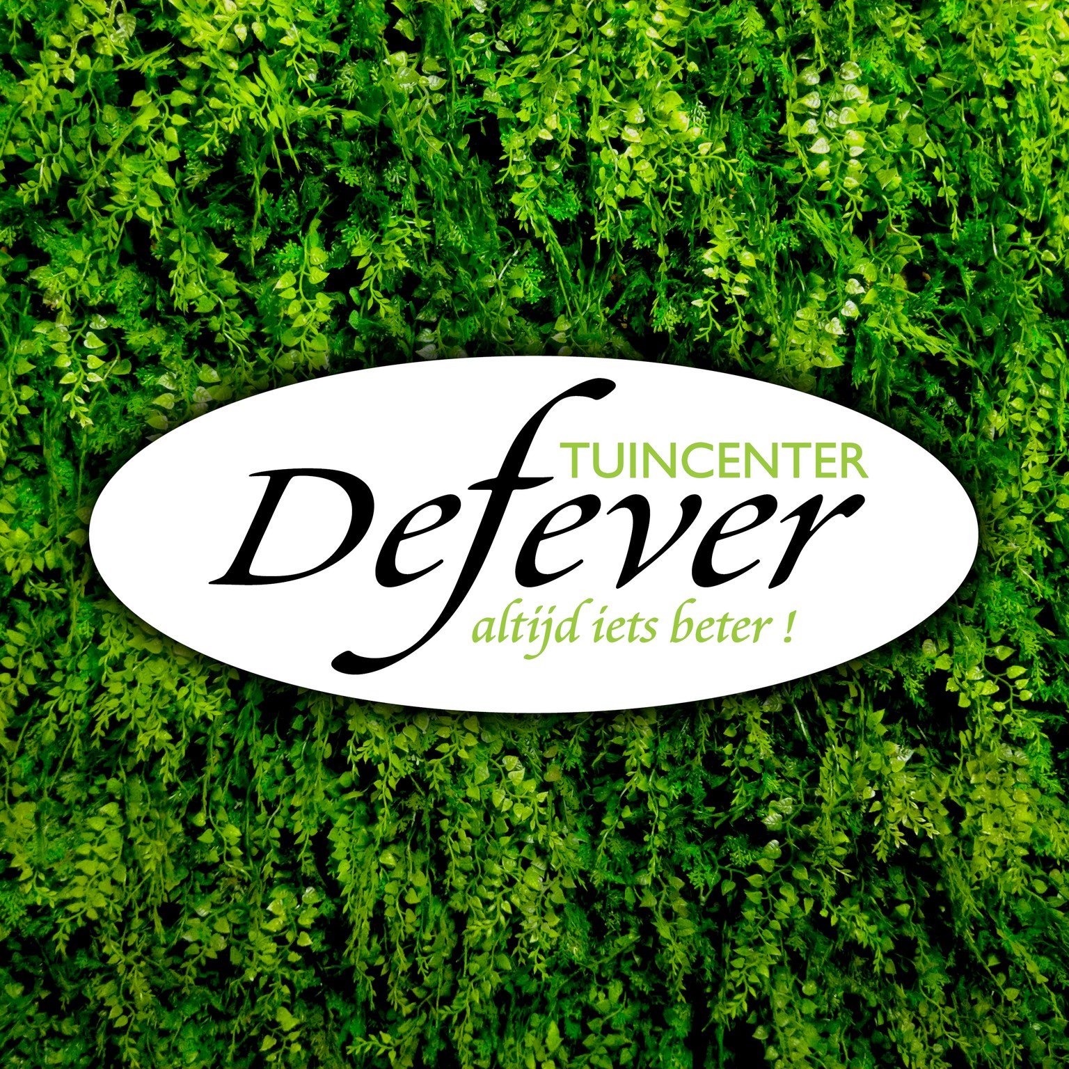 #Bloemennova #middelkerke #flowershop #bloemenwinkel #🌷🌹🌷🌷🌷🌹🌹🌹🌹🌹🌷🌹🌹🌹🌹🌹🌷 ...